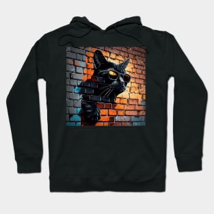 Black cat in sunglasses painted onto brick wall Sticker Hoodie